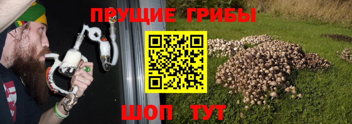 Галлюциногенные грибы Psilocybine cubensis  Галлюциногенные грибы MAGIC MUSHROOMS  Гулькевичи  Вход с VPN 